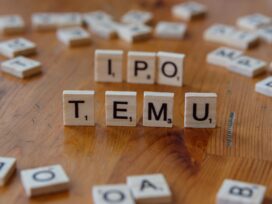 Manipal Payment IPO